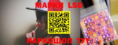 тгк Новодвинск