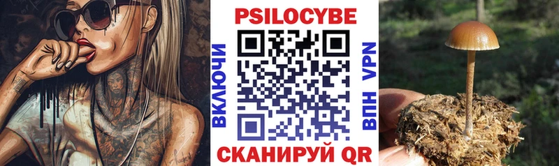 Псилоцибиновые грибы GOLDEN TEACHER  Югорск 