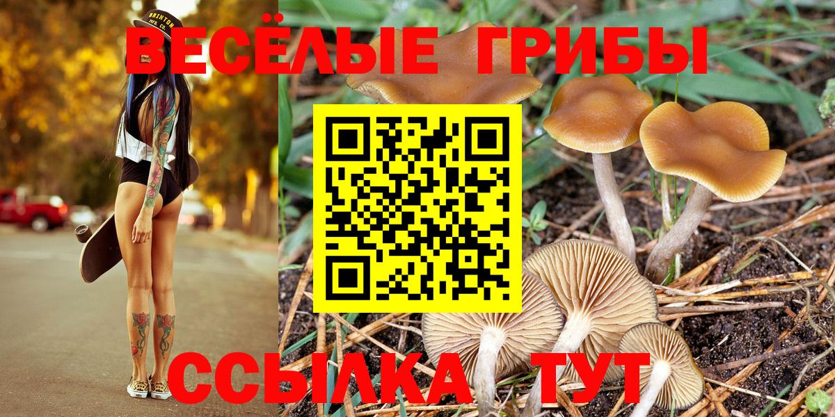 Югорск  Псилоцибиновые грибы прущие грибы  Галлюциногенные грибы ЛСД  Вход с VPN 